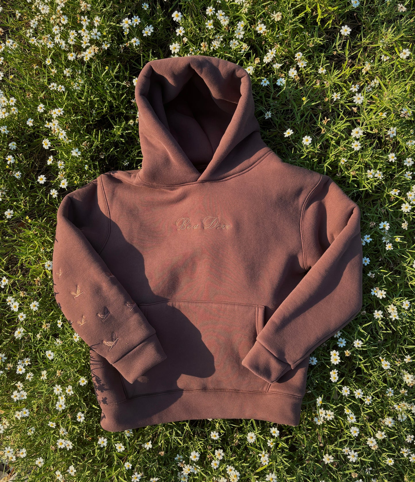 “Be a Dove” - Thick Whool Embroidered Hoodie